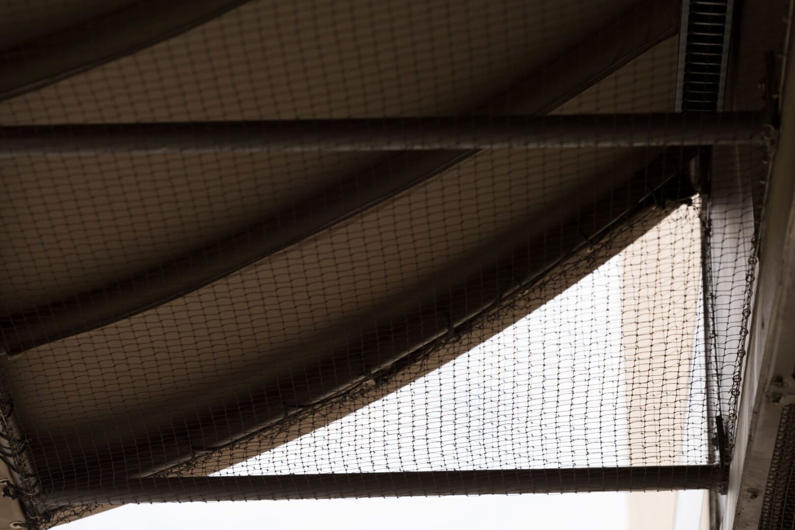 Are Bird Spikes or Netting Better for Bird Deterrents in Commercial Buildings